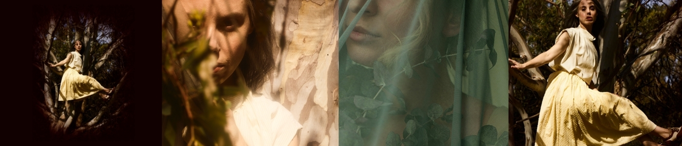 Eucalyptus Eucalyptus