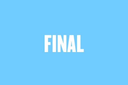 Rugby World Cup - Final