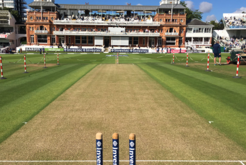 Cricket