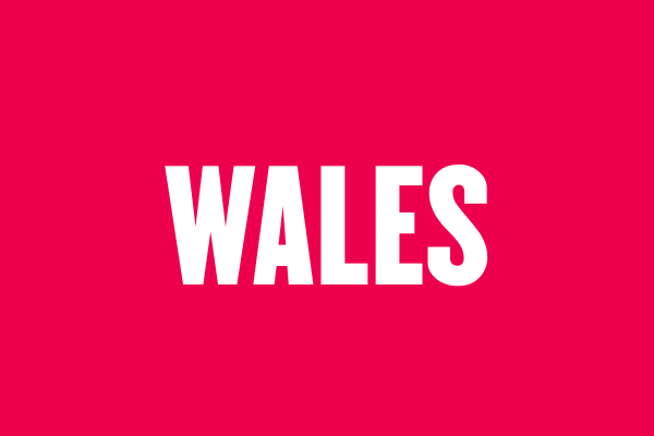 Rugby World Cup - Wales