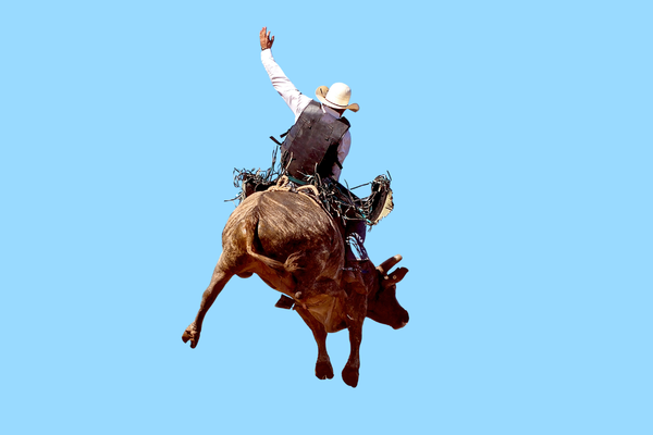 Professional Bull Riding