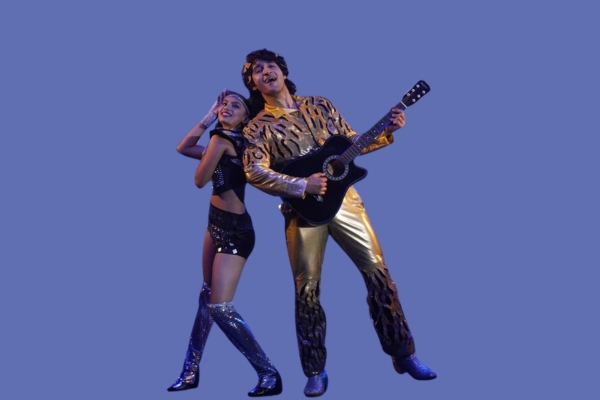 Disco Dancer