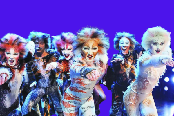CATS The Musical