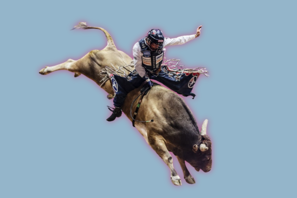 Professional Bull Riding