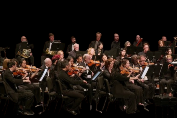 Late Night Orchestra: Back to Ours