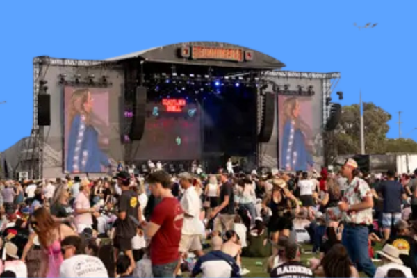 Strummingbird Festival 2026