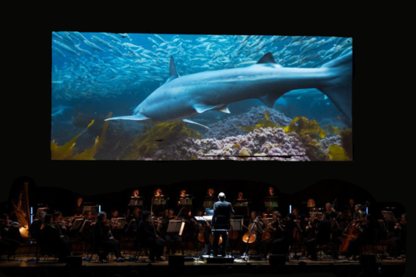 Ocean In Concert with David Attenborough