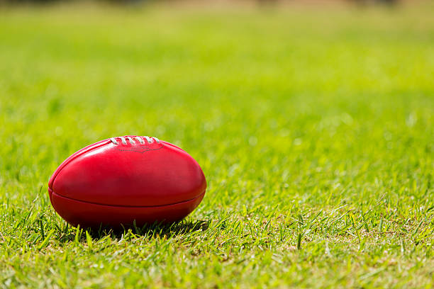 2025 AFL Finals Series