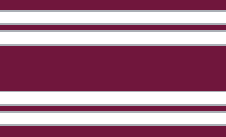 Manly Warringah Sea Eagles