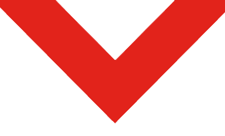 St. George Illawarra Dragons